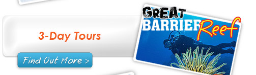 Great Barrier Reef Tours