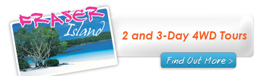 Fraser Island Tours