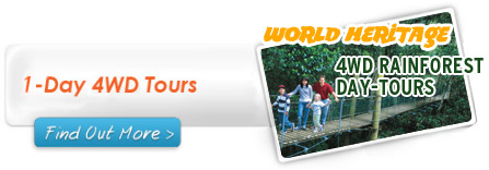 World Heritage Tours