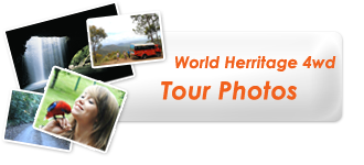 World Heritage Tours 