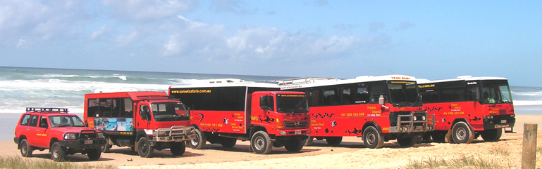 Just some of the Sunset Safaris 4WD Bus Fleet