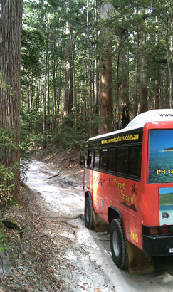 4WD Bus - Sunaet Safaris Fraser Island