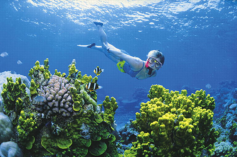 Snorelling on the Great Barrier Reef