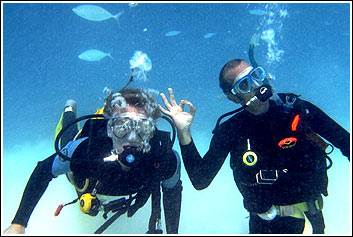 The best Value diving on the Great Barrier Reef