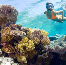 Great Barrier Reef Tours