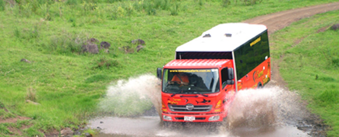 jaws-duck-creek-splash1