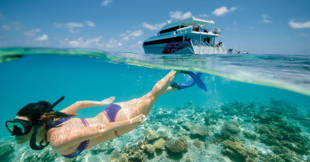 3 day cruise great barrier reef