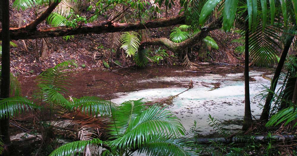 Woongoolba Creek