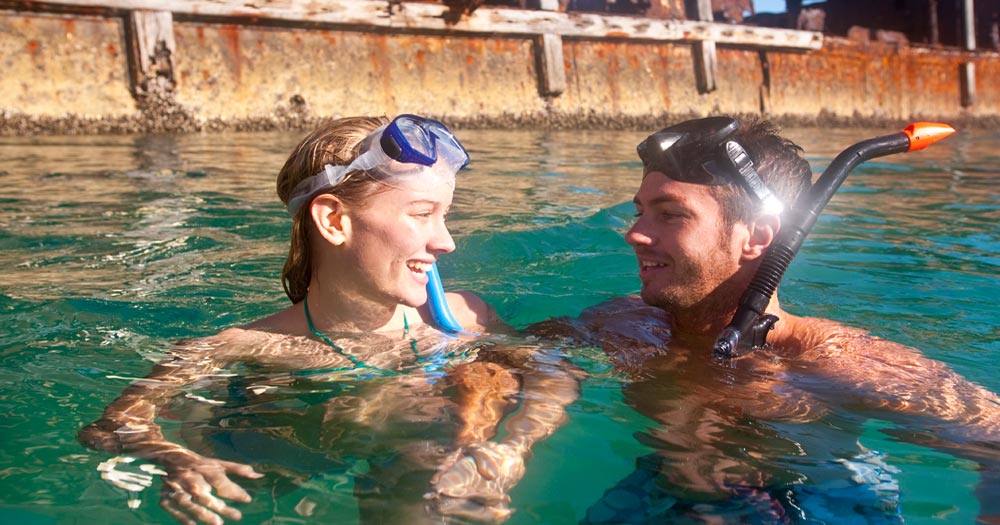 Snorkel the Wrecks