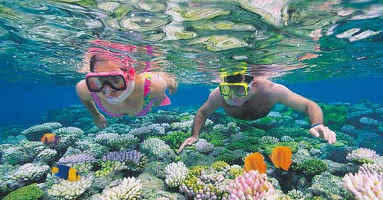 Snorkel the Reef