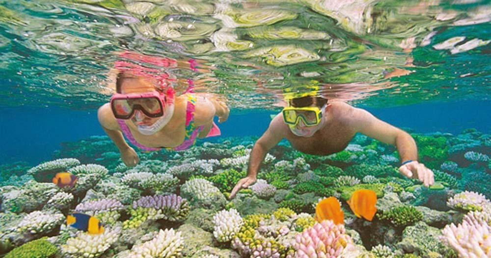   Snorkel the Reef