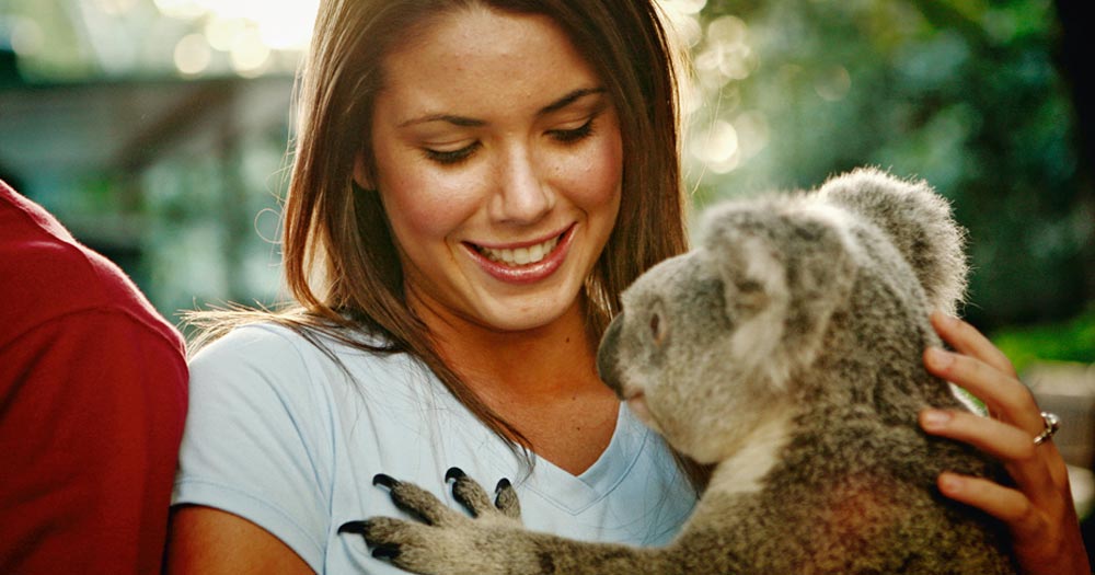 Free Zoo
