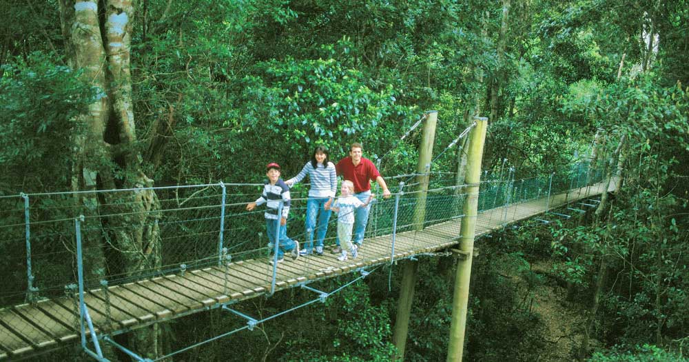   Treetop Boardwalk