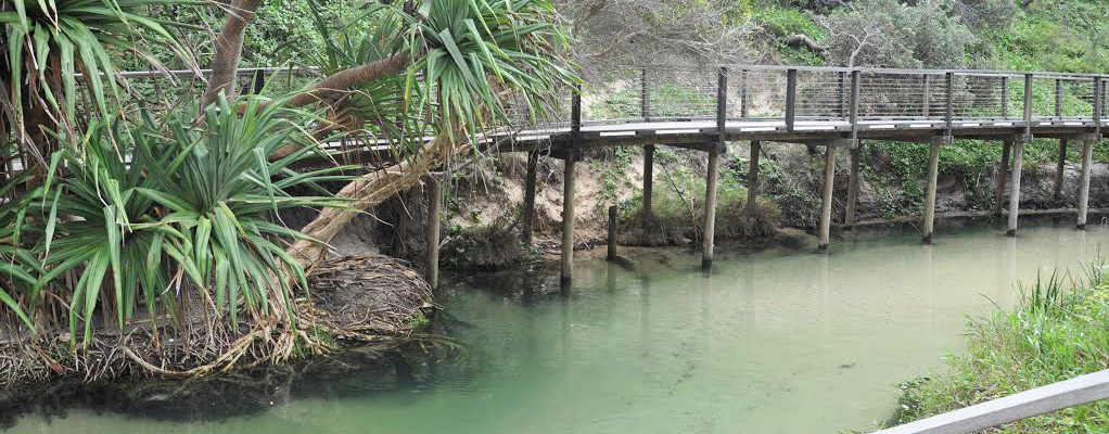 Eli Creek
