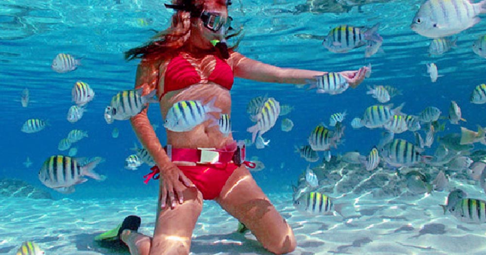 Snorkel with fish