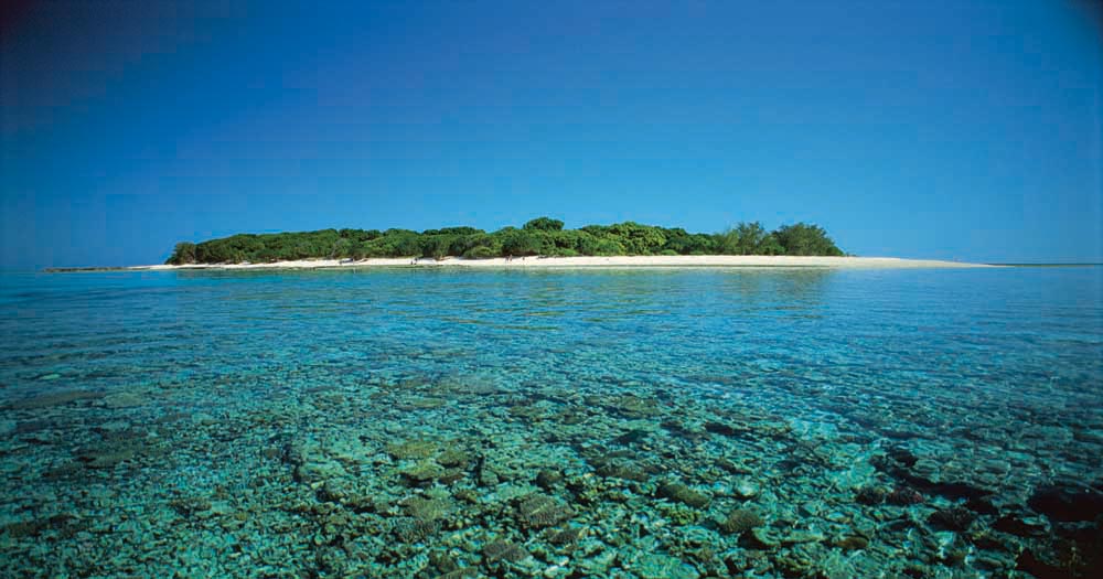 Coral Cay Island